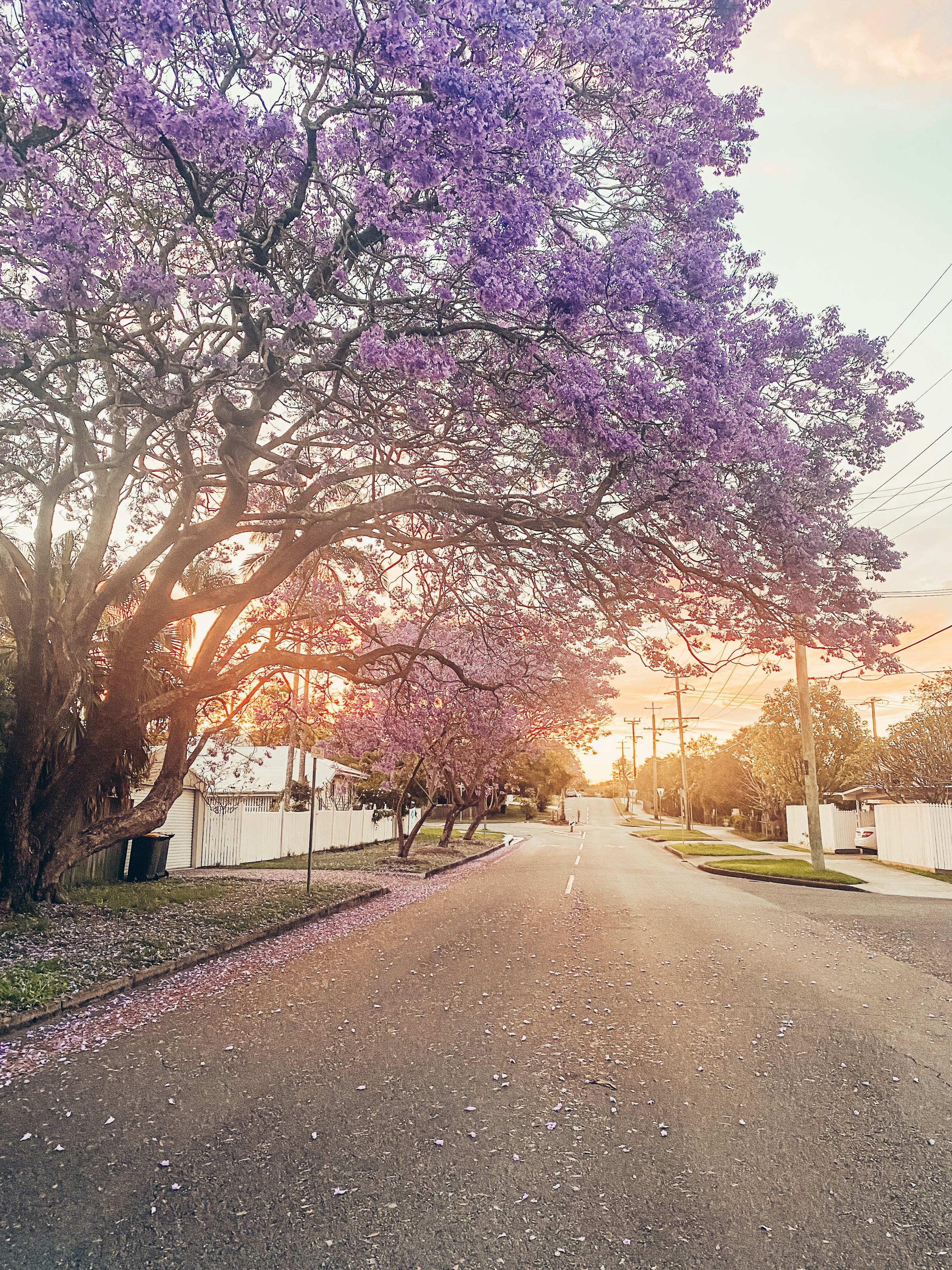 Nature as urban infrastructure for mental health
